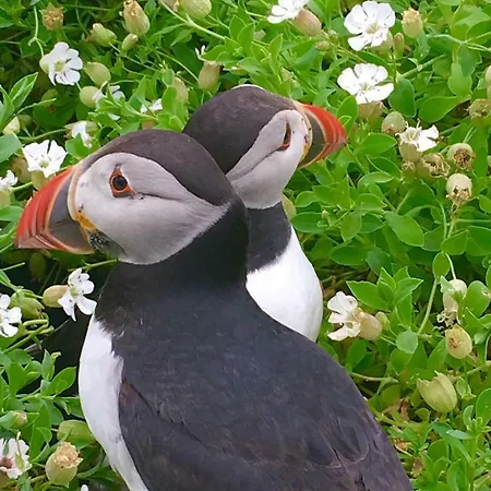 Vakantiehuis Cul Clynacartan