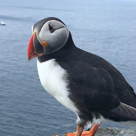 Cul Cottage, Genuine Experience On The Wild Atlantic Way, Pet Friendly *
