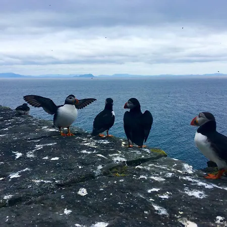 Casa de Férias Cul *