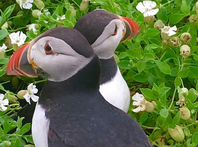 度假居 Cul Clynacartan