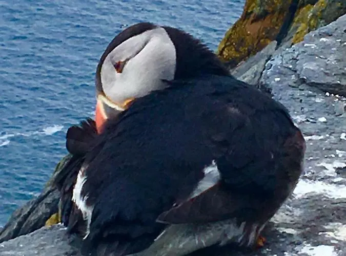 Cul Casa de Férias *